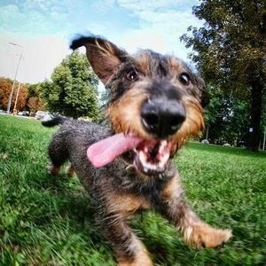 Meet your Posher, Brenda